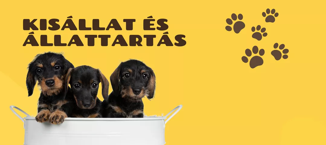 Pikk-Pakk Sop, kisállat és állattartás