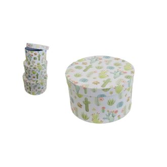   Ajándék-Virág Papírdoboz  Kaktusz Szett/3 Bn 100-2142 - D20*H12cm