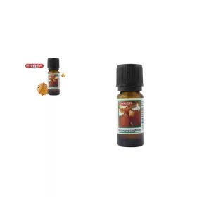 ILLÓOLAJ NARANCSOS SZEGFŰSZEG 10ML