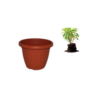 Virágcserép 60cm Terra 