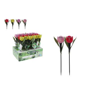 Szolárlámpa Tulipán DX9300800